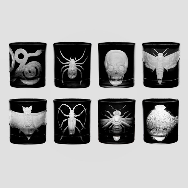 CABINET OF CURIOSITIES