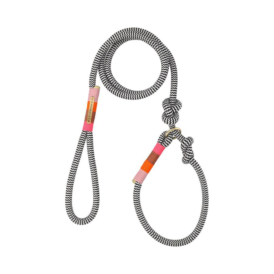 AROUND THE BLOCK DOG LEASH