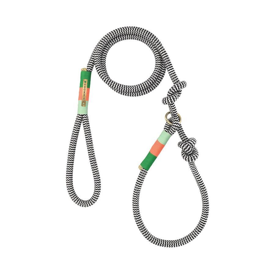 AROUND THE BLOCK DOG LEASH