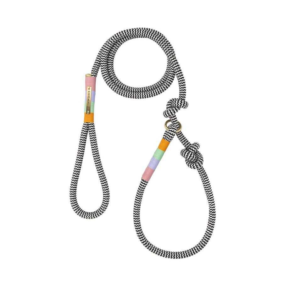 AROUND THE BLOCK DOG LEASH