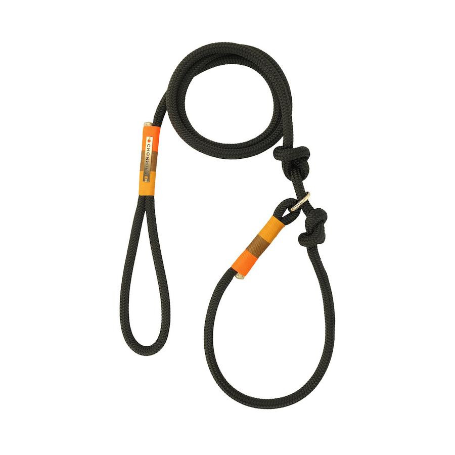 AROUND THE BLOCK DOG LEASH