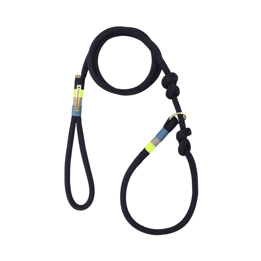 AROUND THE BLOCK DOG LEASH