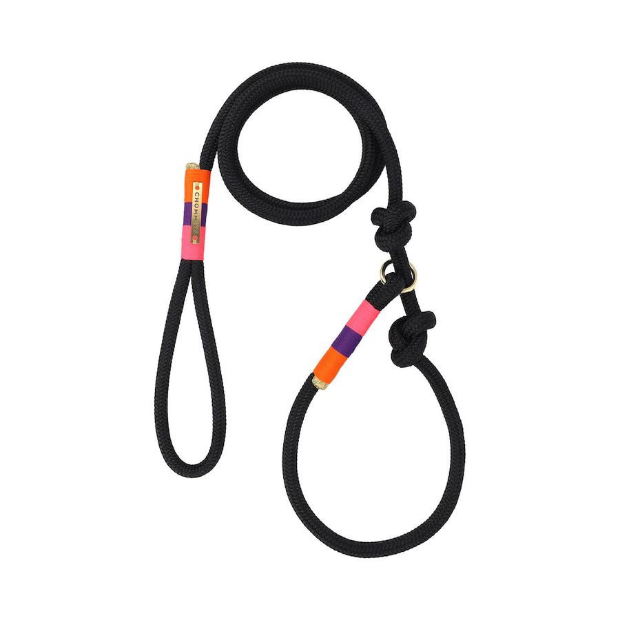 AROUND THE BLOCK DOG LEASH