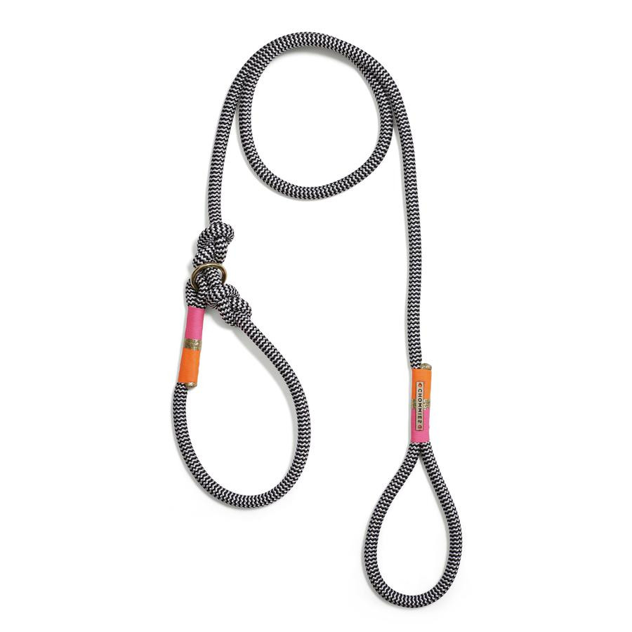 AROUND THE BLOCK DOG LEASH