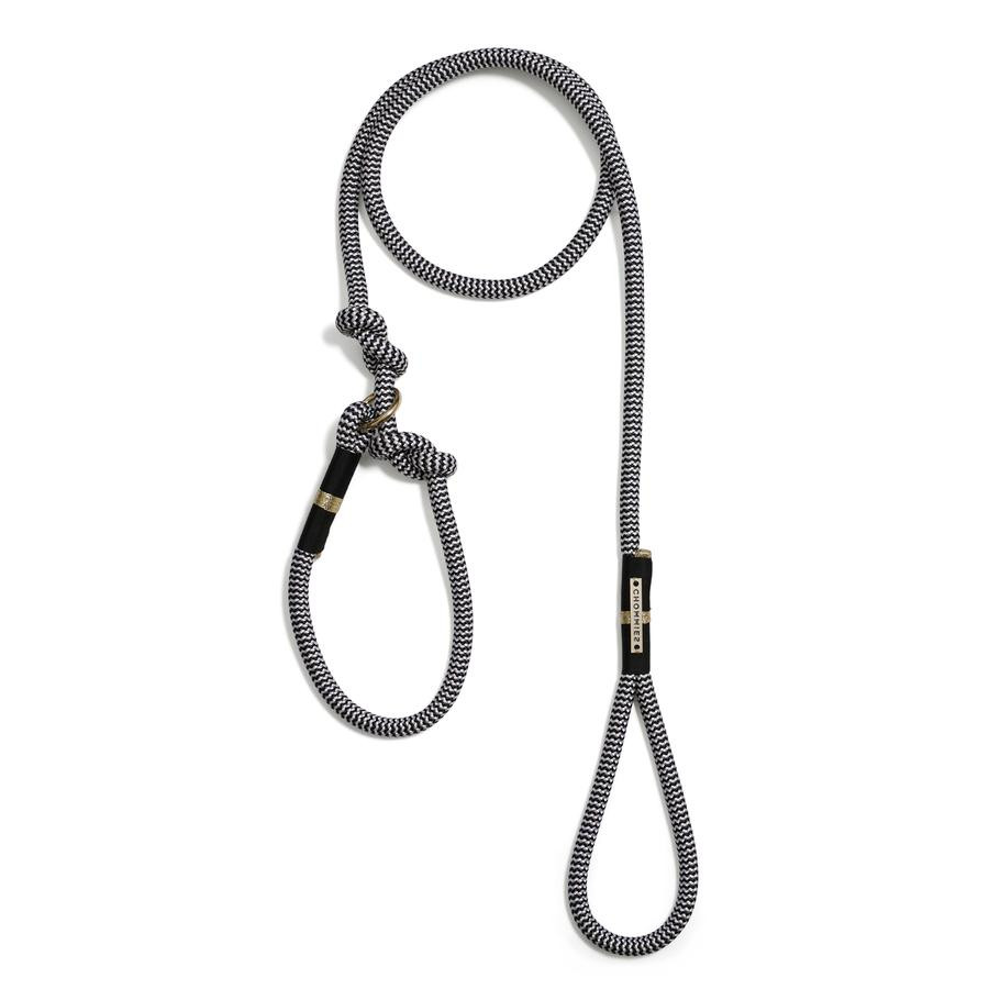 AROUND THE BLOCK DOG LEASH