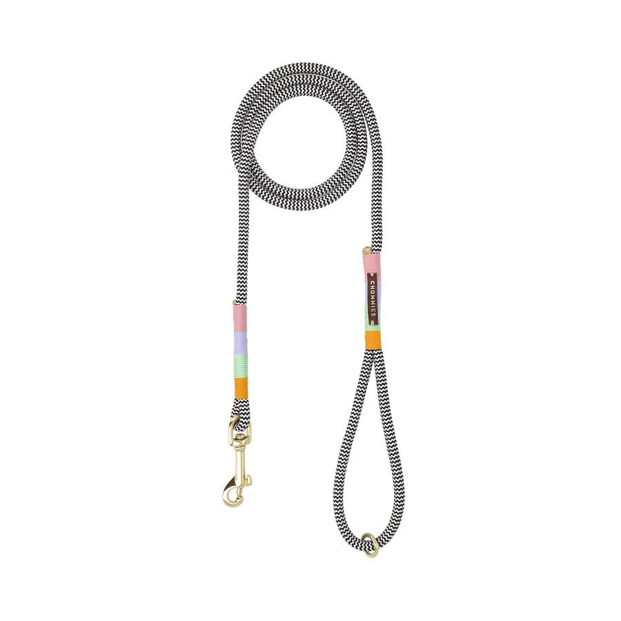 MINI STANDARD DOG LEASH