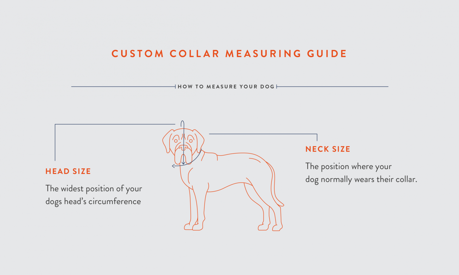 ADJUSTABLE DOG COLLAR